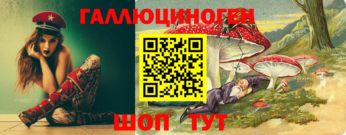 Псилоцибиновые грибы Psilocybe Серпухов