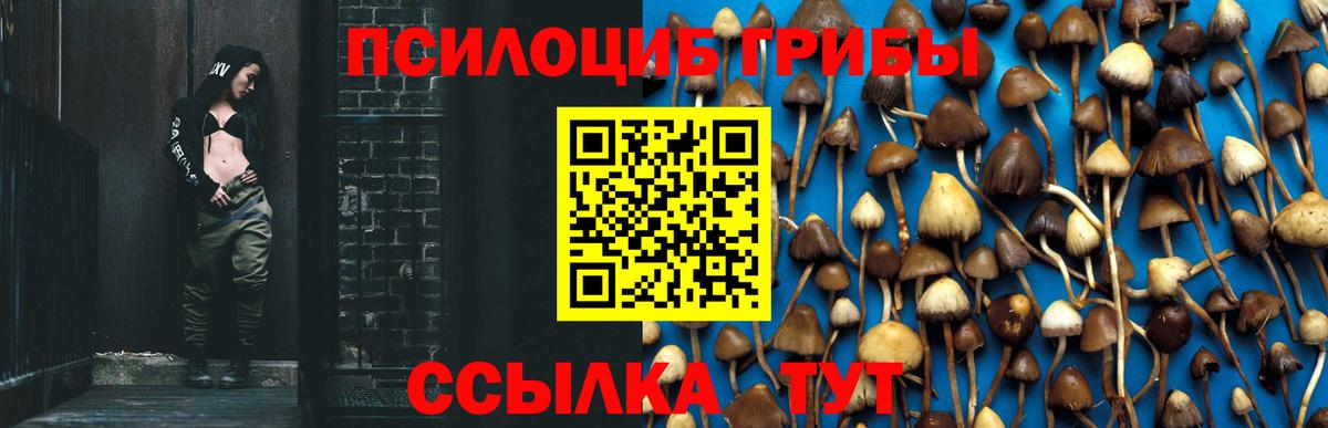 где можно купить   Вход с VPN  Серпухов  Псилоцибиновые грибы прущие грибы 